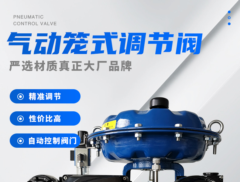 氣動(dòng)籠式調(diào)節(jié)閥-首龍_01.jpg