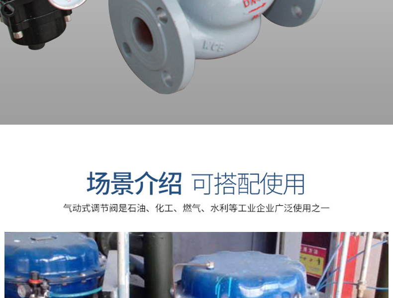 氣動(dòng)套筒調(diào)節(jié)閥-首龍_15.jpg